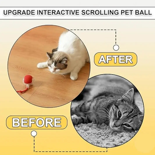 FurPlay™ Automatic Rolling Pet Toy - Rechargeable | Non-Toxic | Long Playtime