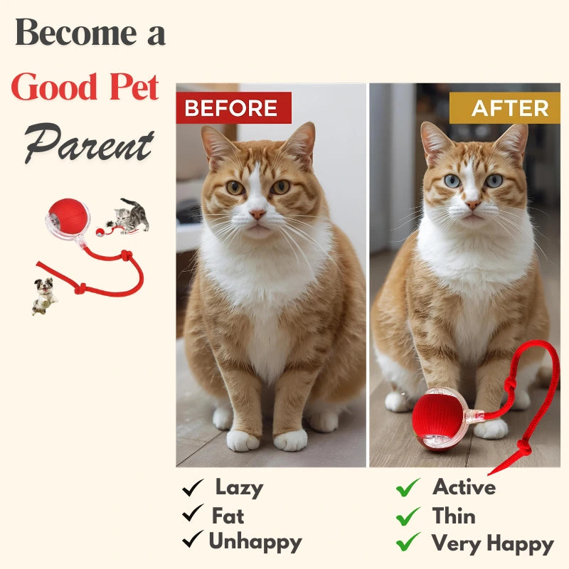 FurPlay™ Automatic Rolling Pet Toy - Rechargeable | Non-Toxic | Long Playtime