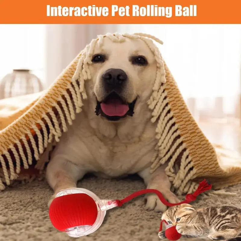 FurPlay™ Automatic Rolling Pet Toy - Rechargeable | Non-Toxic | Long Playtime