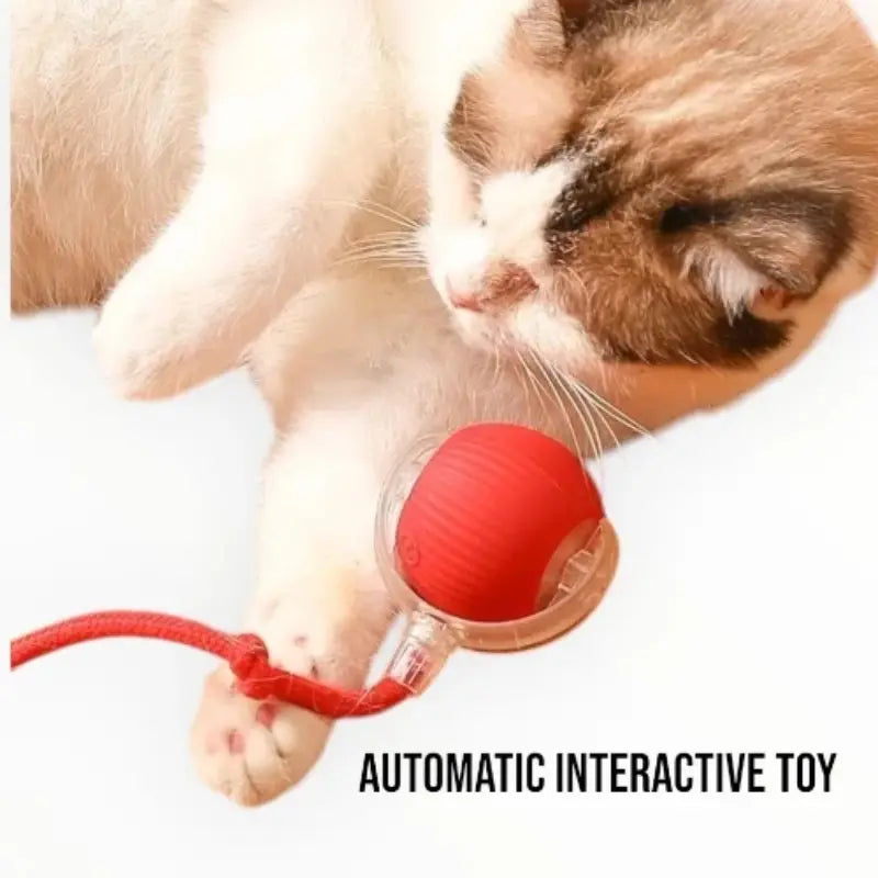 FurPlay™ Automatic Rolling Pet Toy - Rechargeable | Non-Toxic | Long Playtime